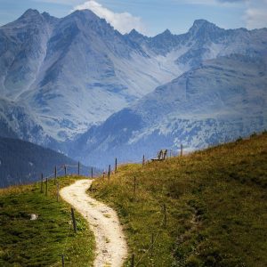 Individuāla sistēmiska/transpersonāla sesija