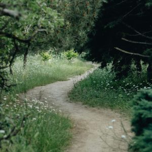 Konsultācija eksistenciālajā pieejā